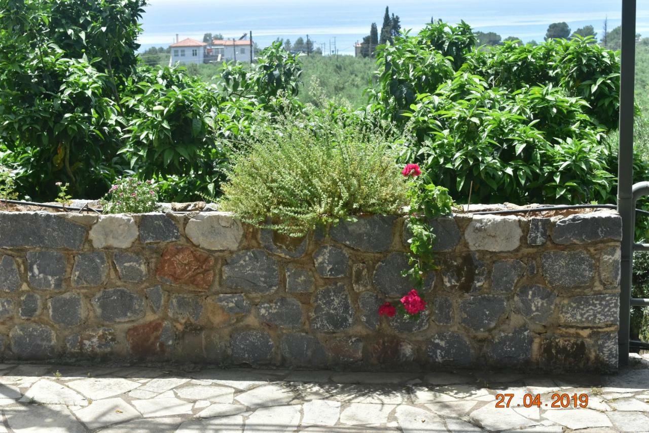 Ouranias Studios Kardamyli Exterior foto